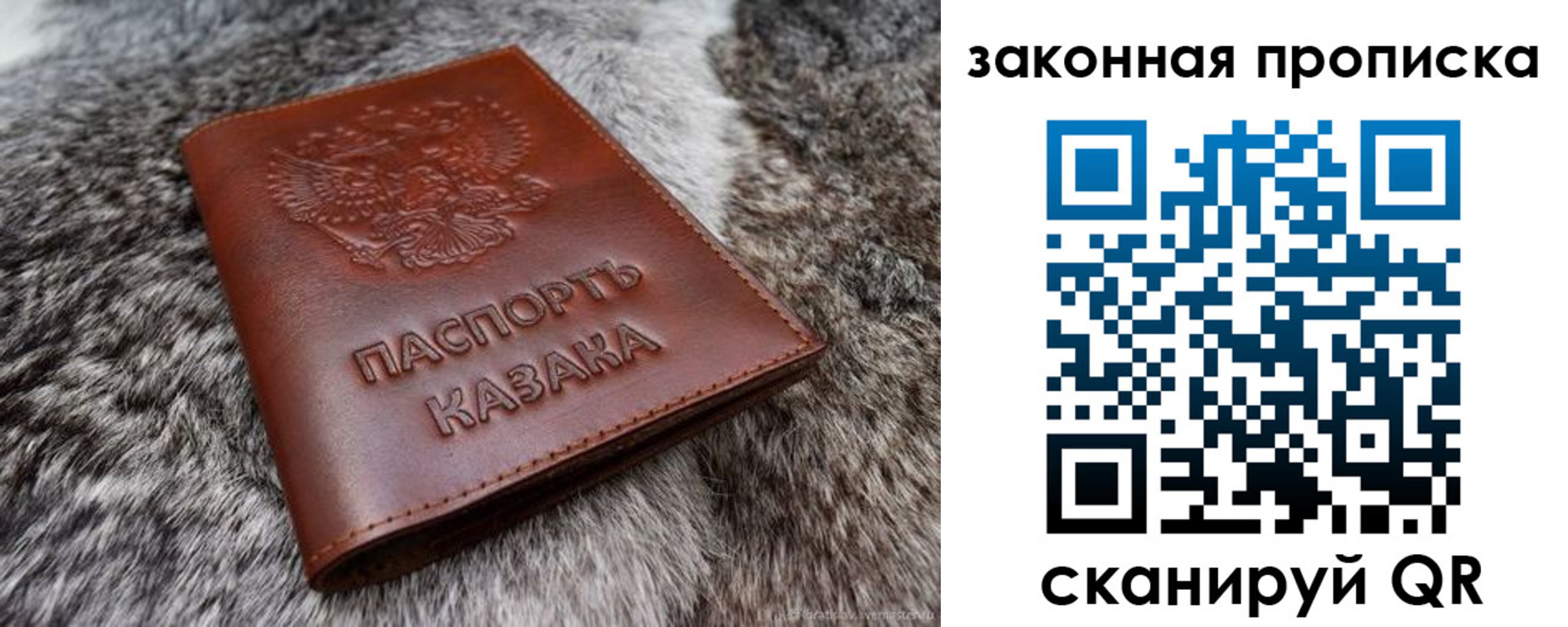 прописка в Лесозаводске
